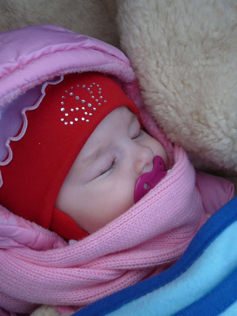 P1040050.JPG